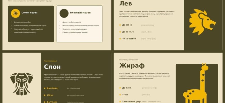 Презентация Африка - саванна и ее обитатели