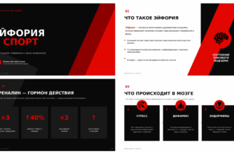 Презентация Эйфория и спорт (адреналин)