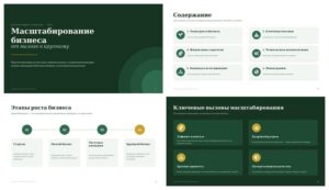 Презентация Масштабирование бизнеса от малого к крупному