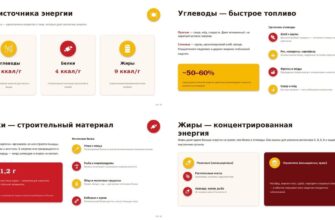 презентация Питание и энергия - что мы едим