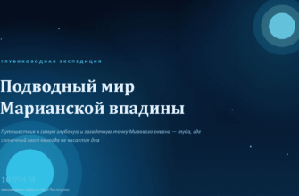 Скриншот презентации Подводный мир Марианской впадины